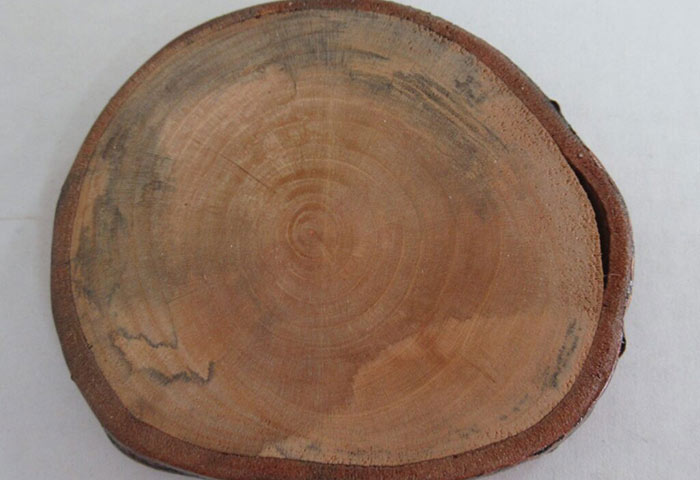 桜の木の加工の様子